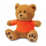teddy bear tr