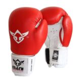 Mani Deluxe Molded Boxing glove